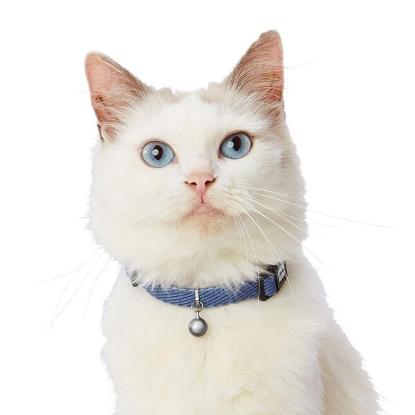 アドメイト (ADD. MATE) 猫用首輪 ソフトスキップキャットカラーブルー