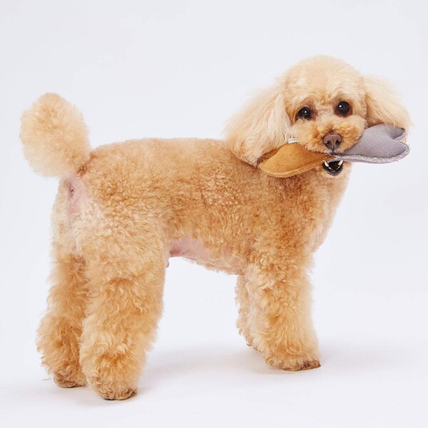 アドメイト (ADD. MATE) 犬用おもちゃ キャンバスTOYレザー ボーン